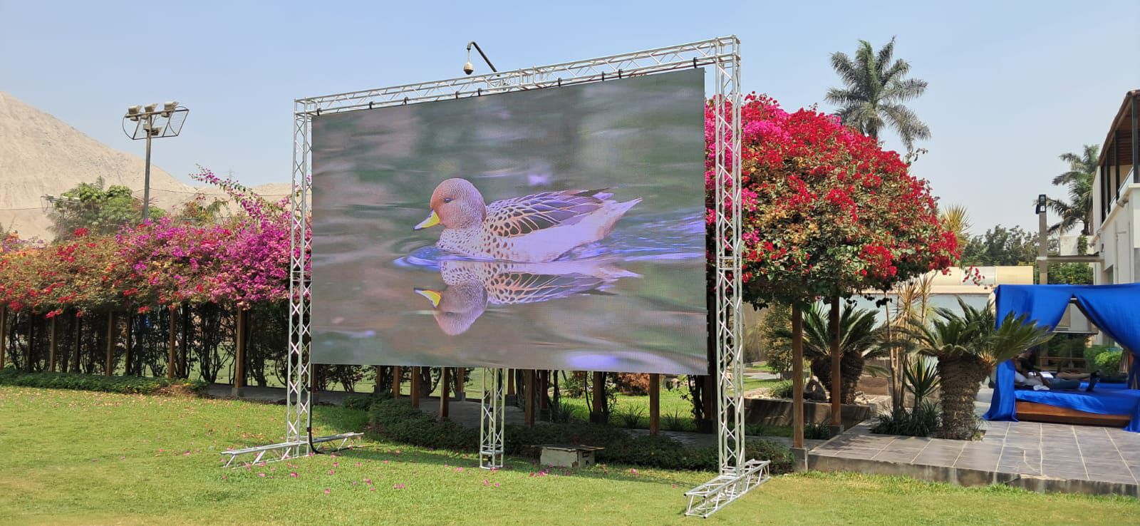 Alquiler pantallas led Pantalla LED en evento 5