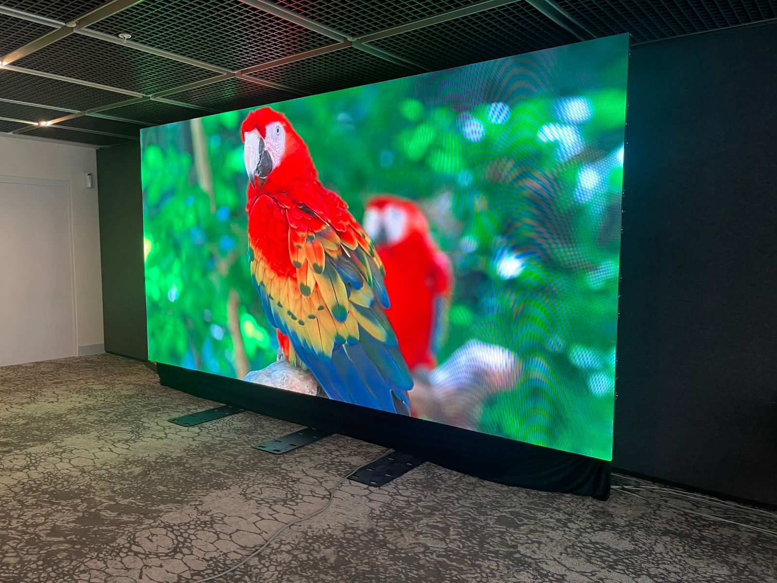 Alquiler pantallas led Pantalla LED en evento 6